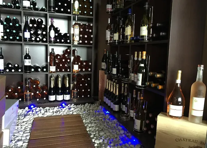 Domaine De Chalveches 4* فندق 4*