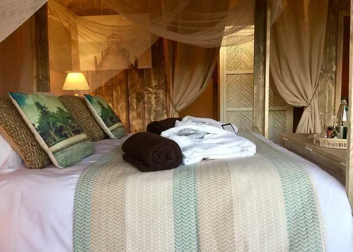 Domaine De Chalveches 4* فندق